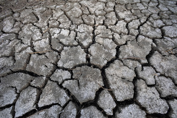 Dry lake bed with natural texture of cracked clay in perspective floor