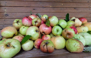 Harvesting - ripe green and red apples lie on a wooden bench