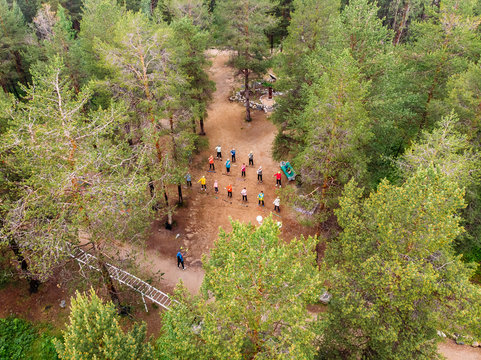 Nordic Walking, Senior Active Elderly People Involved In Sports Go Outdoor Park. Aerial Top View