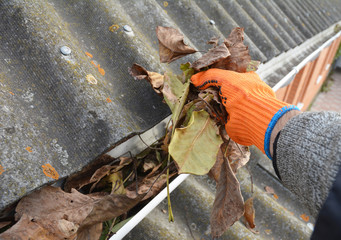 Roofer Hand Cleaning Rain Gutter from Leaves in Autumn. Roof Gutter Cleaning from Fallen Leaves. House Gutter Cleaning.
