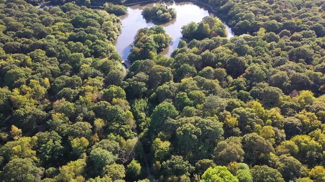Landscape drone shots, Epping Forest London, UK