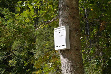 briefkasten an einem baum