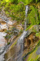 beautiful forest falls in mountains in the summer afternoon