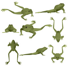 Fototapeta premium Set with polygonal frog. Green frog in different positions. 3D. Vector illustration.