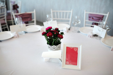 Live colorful flowers on a daughter table. Background texture.