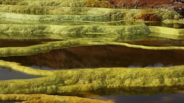Dallol Sulphur springs and pools Danakil Depression Ethiopia.   The Sulphur springs create the unearthly colourful and beautiful landscape