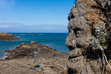 Rotheneuf, Brittany France. Sculptures in rocks, by the Priest Foure - 292896402