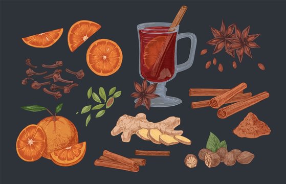 Mulled wine and spices hand drawn vector illustrations set. Flavoring seeds and herbs realistic color isolated cliparts pack. Winter season traditional drink ingredients. Ginger root, cinnamon sticks.