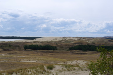 Fototapeta na wymiar Dunes de l'isthme de Courlande 2