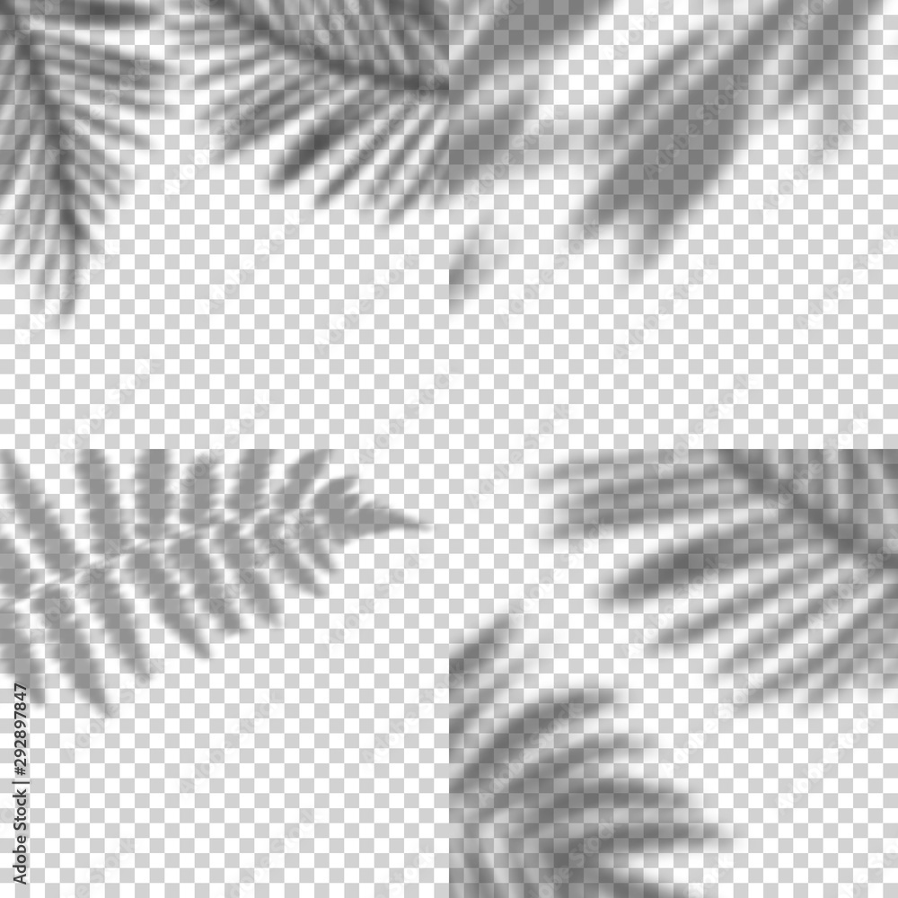 Fototapete Vector Set of Transparent Shadows of Leaves. Decorative Design Elements for Collages. Creative Overlay for Mockups