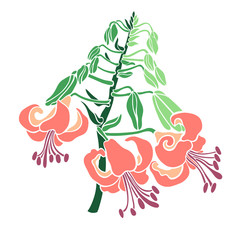 Bouquet branch blooming lilies. Floral element for design. Vector illustration in a flat style.