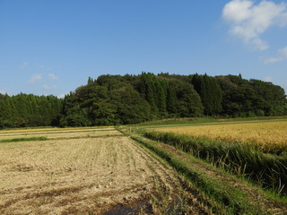 Fototapeta na wymiar 秋の農村風景