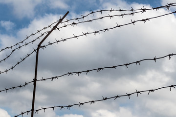 Barbed wire of the prison gate. Border of the territory.