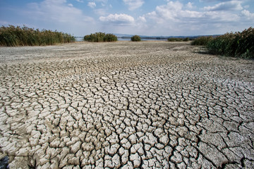 Dry lake bed with natural texture of cracked clay in perspective floor