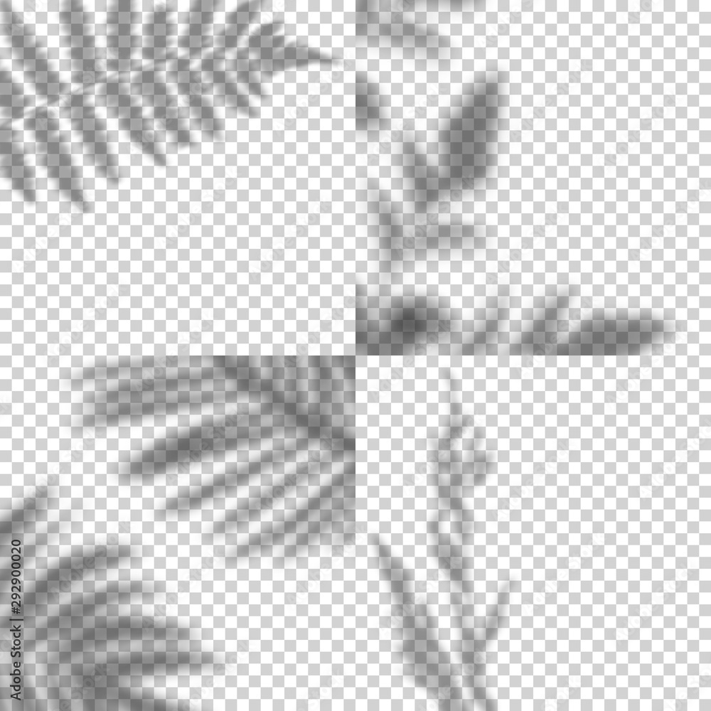 Fototapete Vector Set of Transparent Shadows of Leaves. Decorative Design Elements. Creative Overlay Effect for Mockups