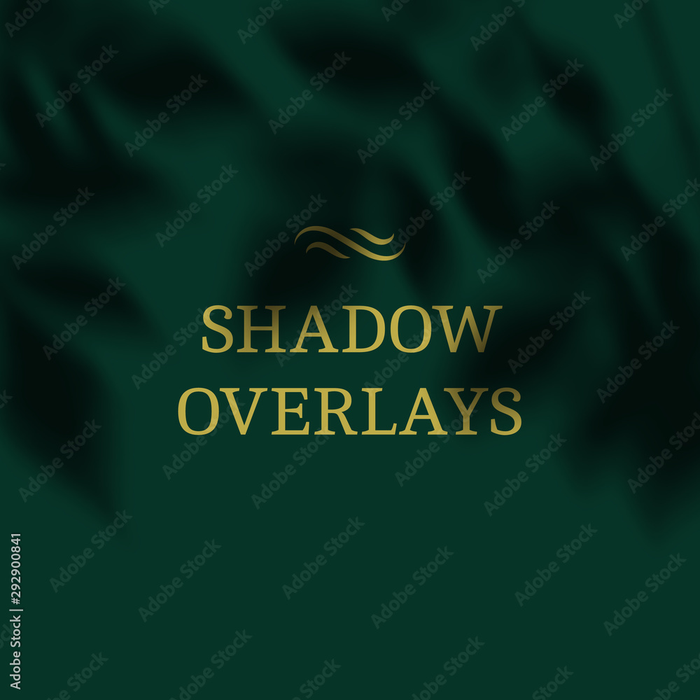 Poster Vector Transparent Shadows of Leaves. Decorative Design Element for Collage and Mock Up. Overlay Effect for Mockups