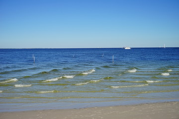 St petersburg beach and sea gull