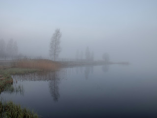 mist picture with tree silhouettes in the morning, beautiful mist on the lake, frost on the ground