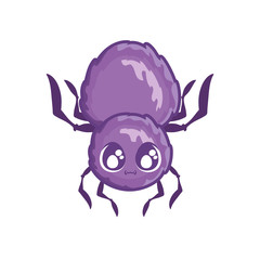 creepy spider animal on white background