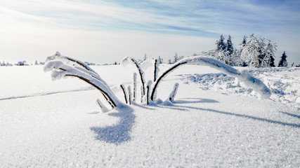  Stunning panorama of snowy landscape in winter in Black Forest - winter wonderland