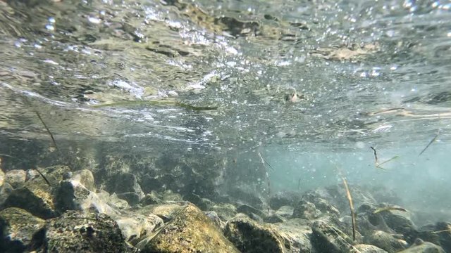 Slow motion low angle underwater view of rock shore with grass floating in clean sea water