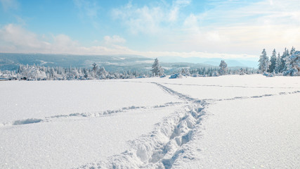  Stunning panorama of snowy landscape in winter in Black Forest - winter wonderland