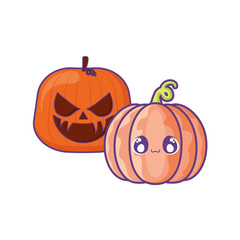 halloween pumpkins on white background