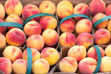 a table of peaches in baskets in a farmer's market fruit stand