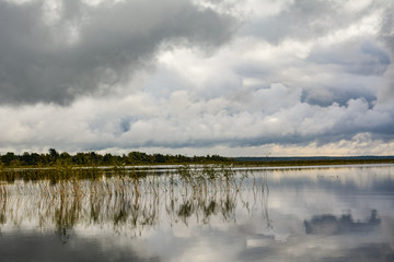 Reeds on the Otradnoe Lake under clouds, Russia