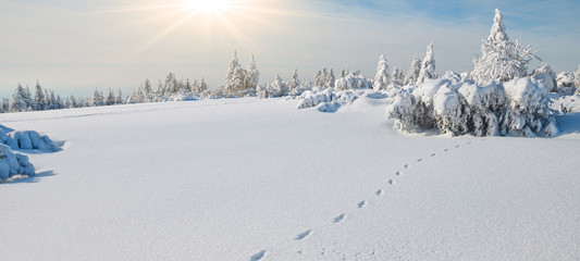  Stunning panorama of snowy landscape in winter in Black Forest - winter wonderland
