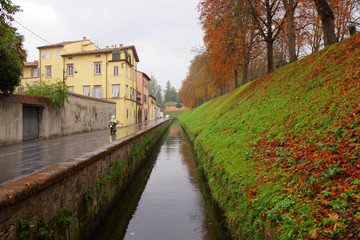 Fototapeta na wymiar A rainy autumn day in the city Lucca