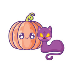 cute cat with pumpkin on white background