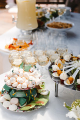 buffet table with wine and juice, fruits and sweets, snacks and mint ice