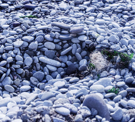 Sea pebbles at day