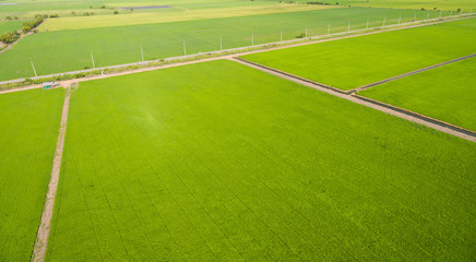 Fototapeta premium widok z lotu ptaka z latającego drona ryżu polnego z krajobrazem zielonym tle przyrody, widok z góry ryż polny