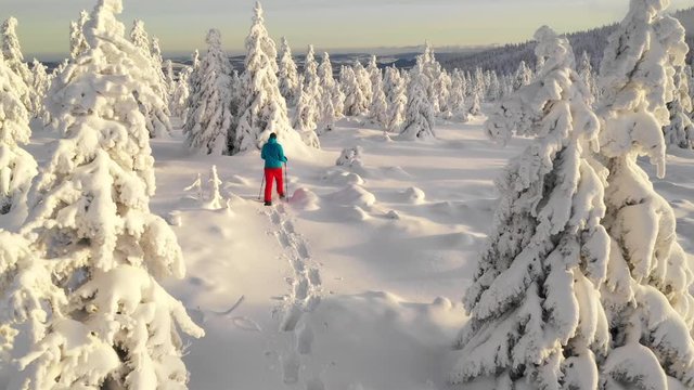 Aerial view of man walking with snowshoes on white snow in winter. Europe mountains. 4K