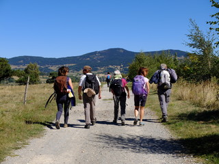 groupe de randonneurs en montagne sur piste 