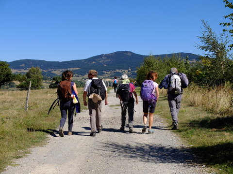 groupe de randonneurs en montagne sur piste 