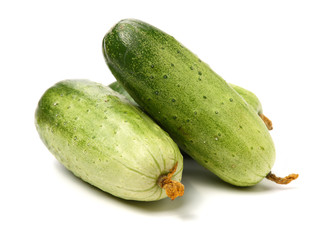 Green cucumber on the white background
