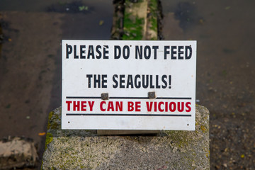 Fototapeta premium Please Do Not Feed The Seagulls sign