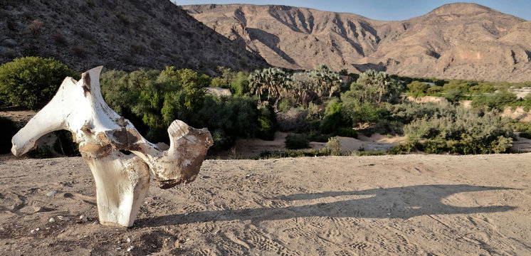 Namibie, le paradis de la randonn&eacute;e avec ses magnifiques paysages