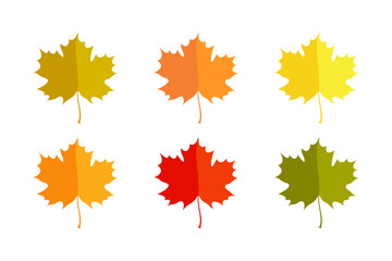 Colorful Autumn Maple Leaves Art Vector Illustration