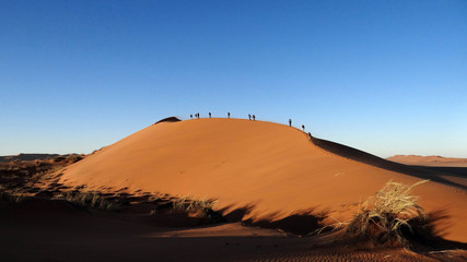 Fototapeta na wymiar Sesriem et particulièrement Sossusvlei qui permet de s’immerger dans l’immense désert du Namib. Deadlvei et ses arbres morts au milieu du désert