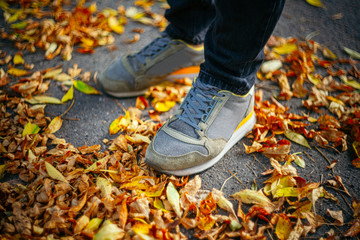Walk on pavement in Autumn. Back view on the feet of a man walking along the pavement with fallen foilage. Abstract empty blank Autumn weather background