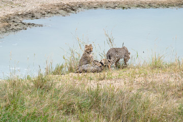 SAFARI Tanzania Zanzibar
