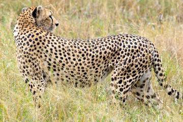 SAFARI Tanzania Zanzibar