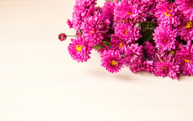 Flower background. Lilac chrysanthemum flowers on white wooden background, copy space. Flowers composition. 8 March, mother day, Valentines day background. Autumn flower. Flower card. Holiday postcard