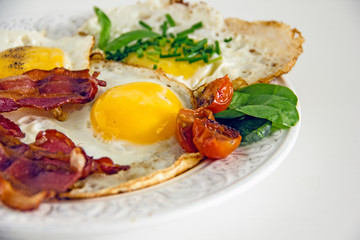 Tasty meal with fried egg and bacon Closeup appetizing colorful breakfast with yellow eggs red bacon tomatoes and chopped greenery.