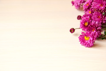 Flower background. Lilac chrysanthemum flowers on white wooden background, copy space. Flowers composition. 8 March, mother day, Valentines day background. Autumn flower. Flower card. Holiday postcard