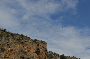 Fototapeta premium Eagles in the blue sky